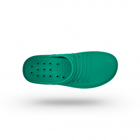 CLOG 06