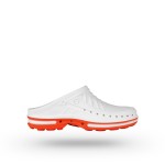 CLOG 01 con plantilla Walksoft�