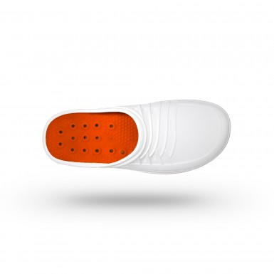 CLOG 01 CLOG 01