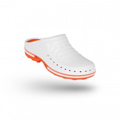 CLOG 01 CLOG 01