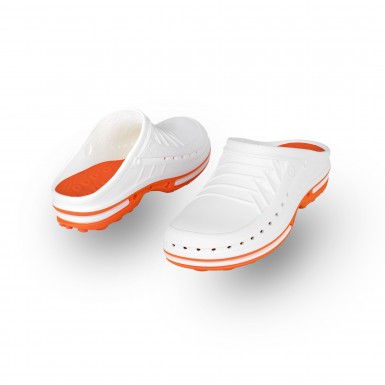 CLOG 01 CLOG 01