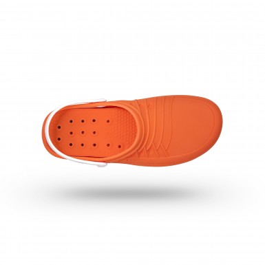 CLOG 05 con tira CLOG 05 con tira