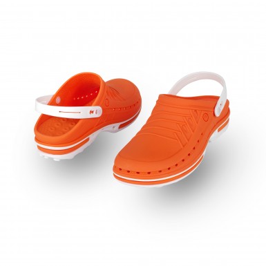 CLOG 05 con tira CLOG 05 con tira