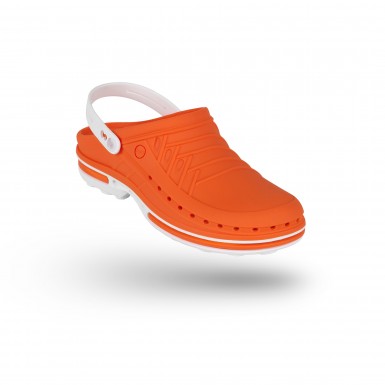 CLOG 05 con tira CLOG 05 con tira