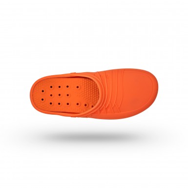 CLOG 05 CLOG 05