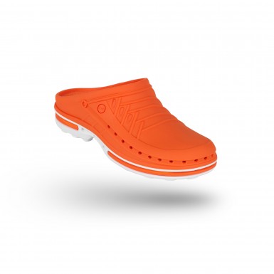 CLOG 05 CLOG 05