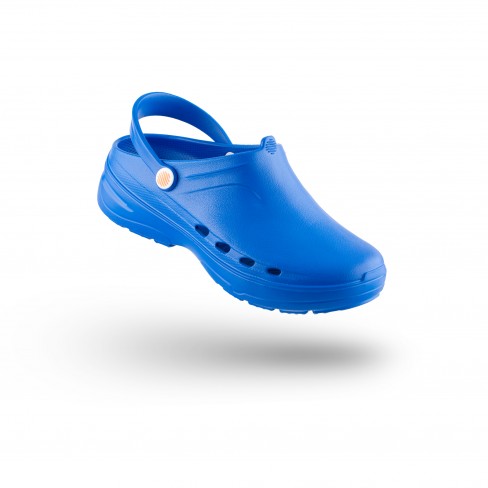 WAYLITE 01