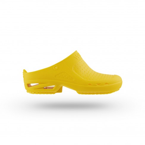 Autoclavable Clogs for Nurses, Surgeons and Labs Personnel | WOCK