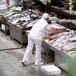 SECURLITE 01 w/ insole