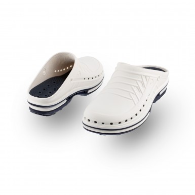 CLOG 13 CLOG 13