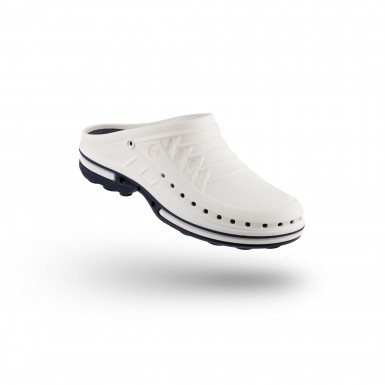 CLOG 13 CLOG 13