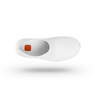 SECURLITE 01 SECURLITE 01